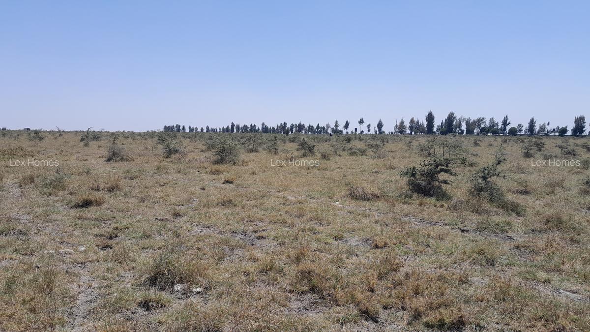 Commercial Land at Ebenezer Childrens Home - 2