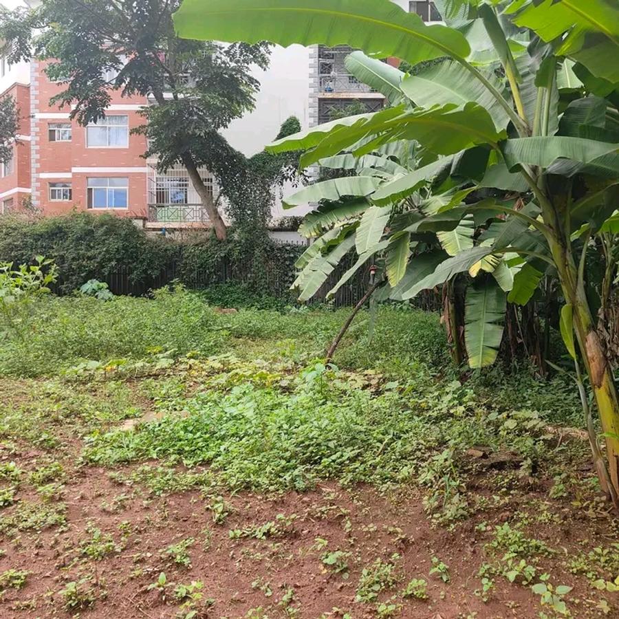 200 ac Land at Kilimani - 18