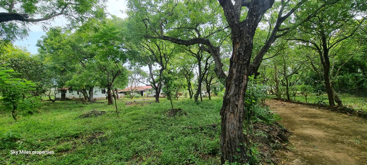 4.4 ac Land at Kuruwitu - 7