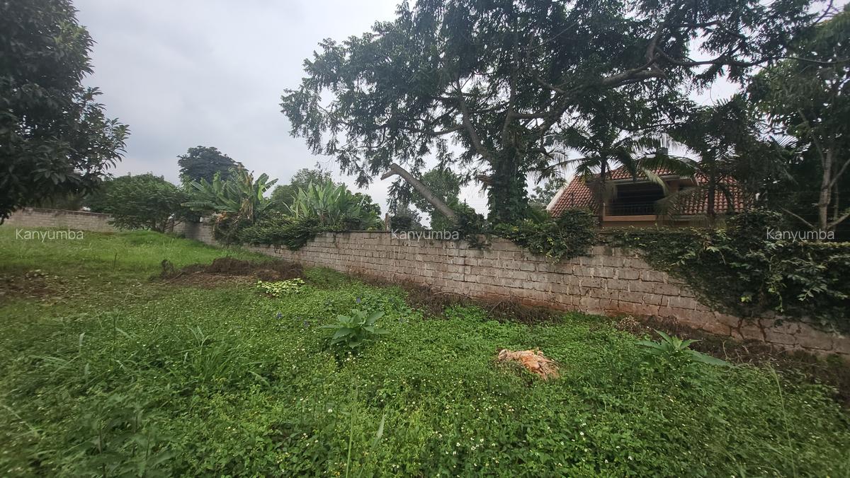 0.5 ac Land at Old Runda - 3