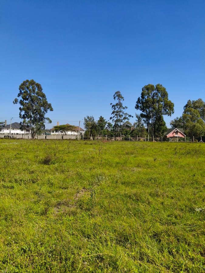 Residential Land at Marula Road - 18