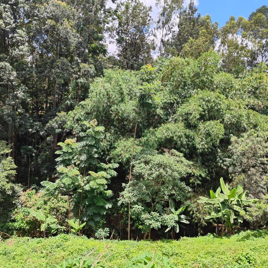 0.5 ac Land at Kitisuru Springs - 12