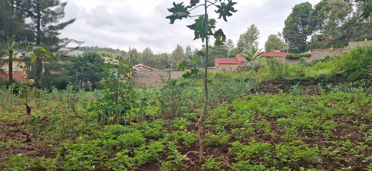 0.5 ac Land in Ngong - 12