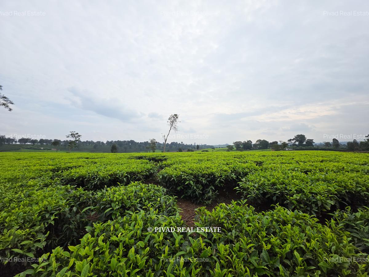 995 ac Land in Tigoni - 5