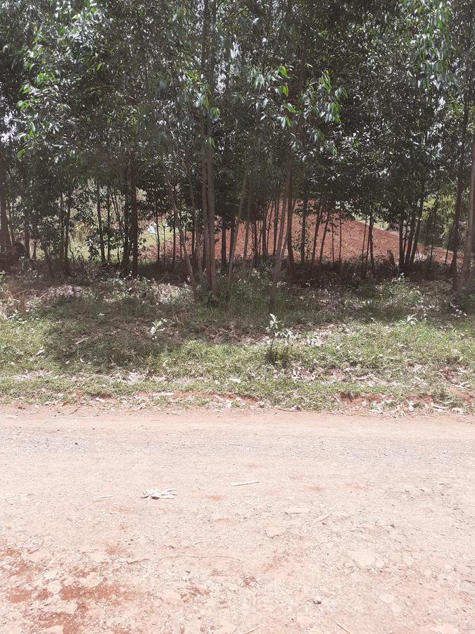 0.7 ac Land in Kikuyu Town - 4