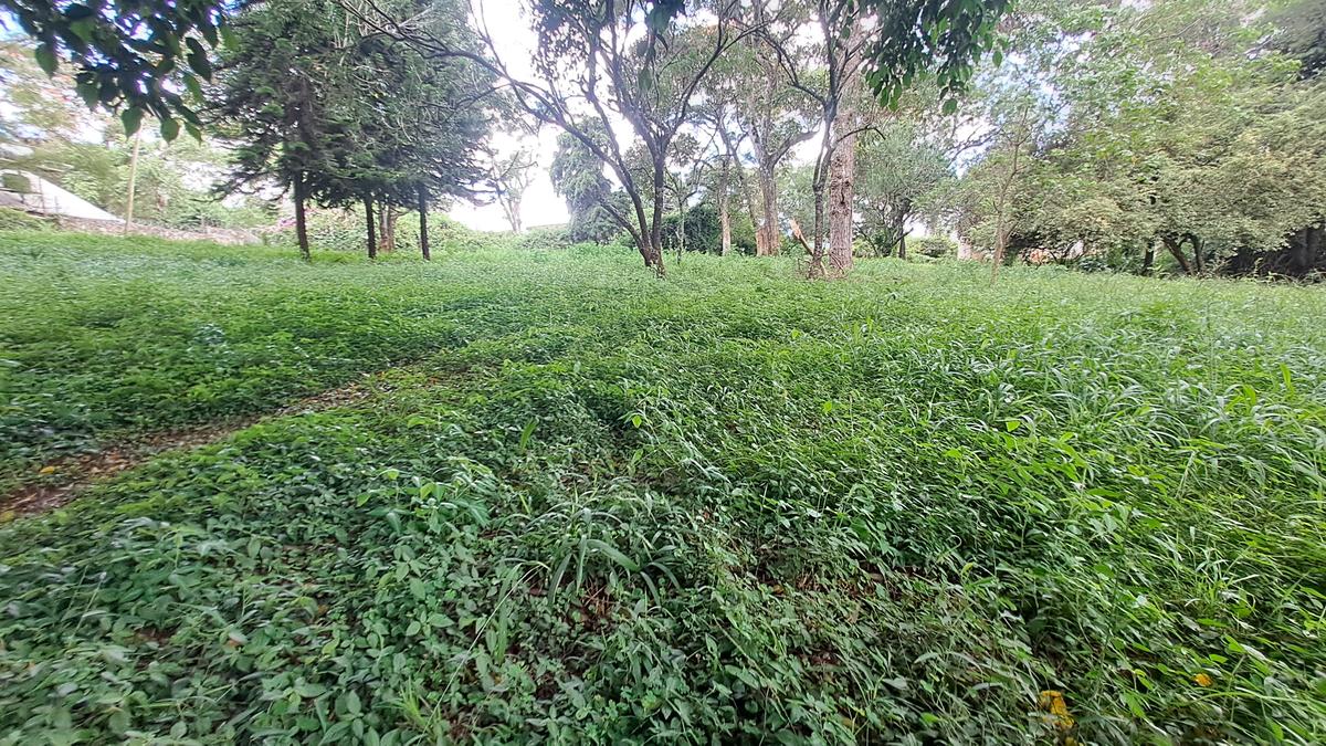 4.08 ac Land at Off Lower Kabete Rd - 4