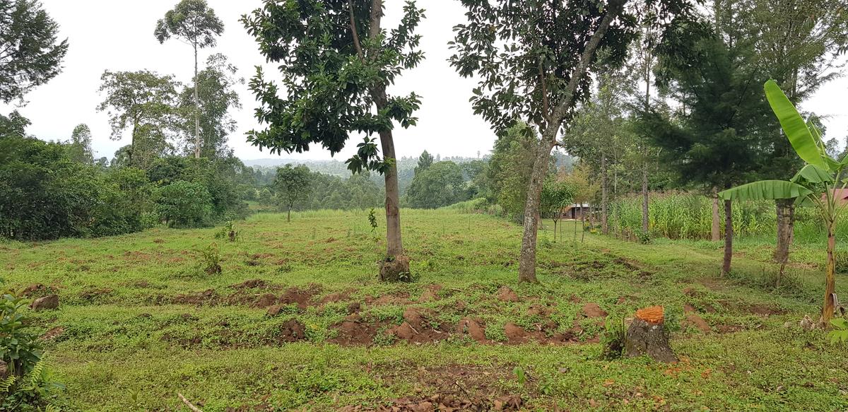 Residential Land at Mokoyot Close - 14