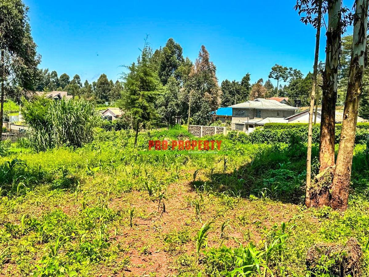 0.05 ha Residential Land at Ondiri - 4