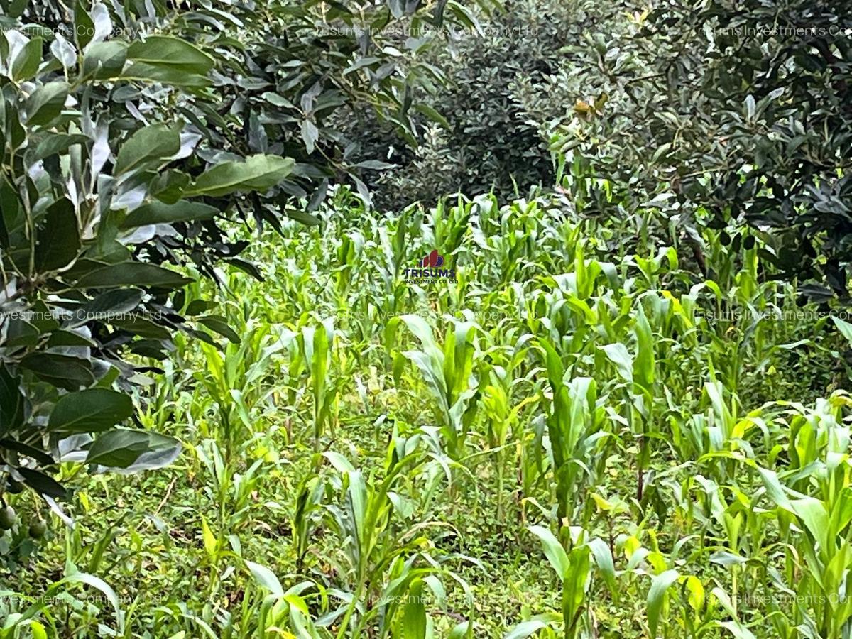 2.4 ac Land at Tigoni - 2