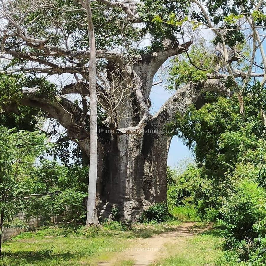 Land in Vipingo - 12