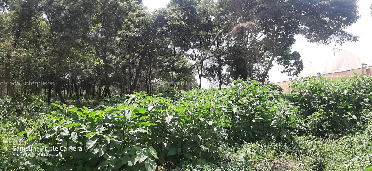 Land in Redhill - 12