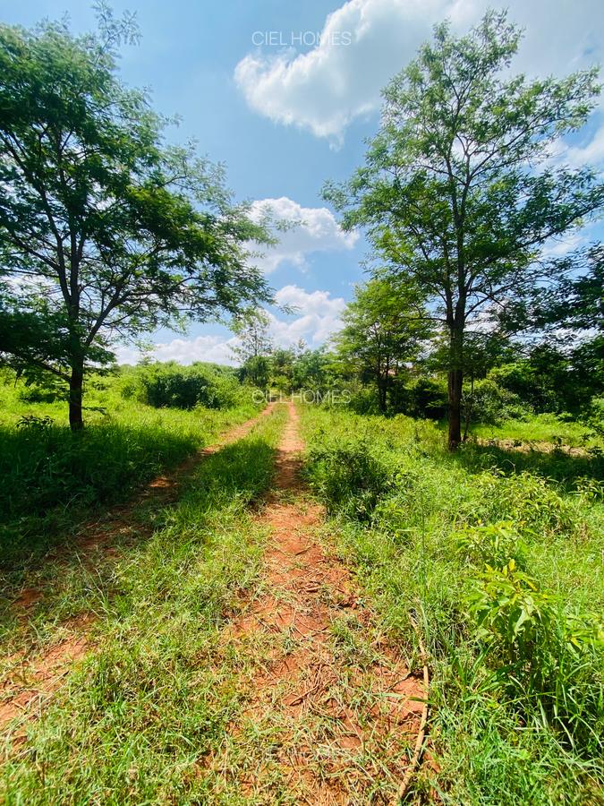 19 ac Land at Kenol-Makutano Highway - 13