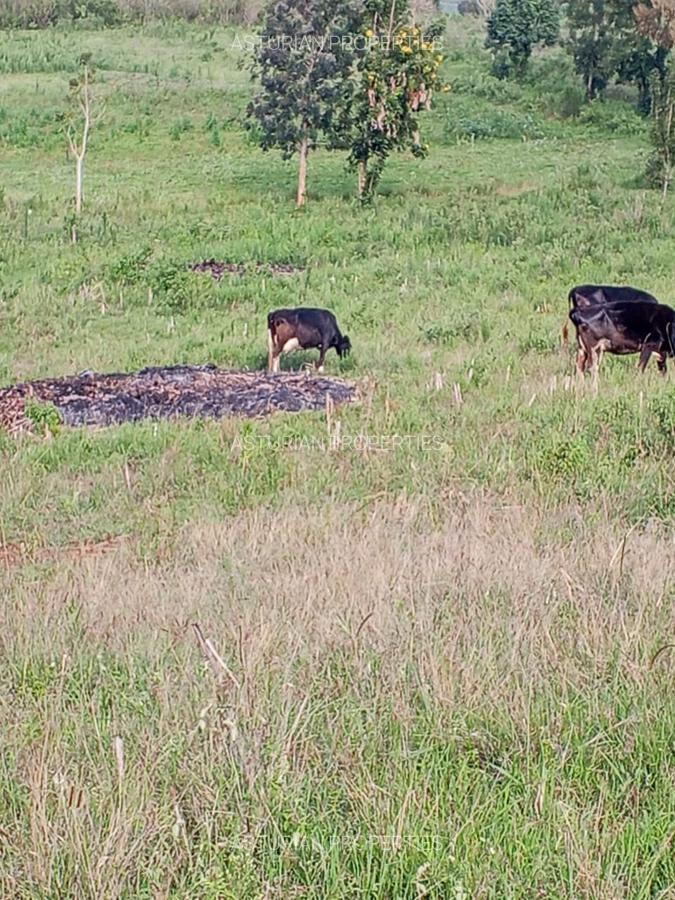 36 ac Land in Kikuyu Town - 2