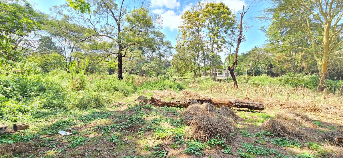 Residential Land at Shanzu Road - 20