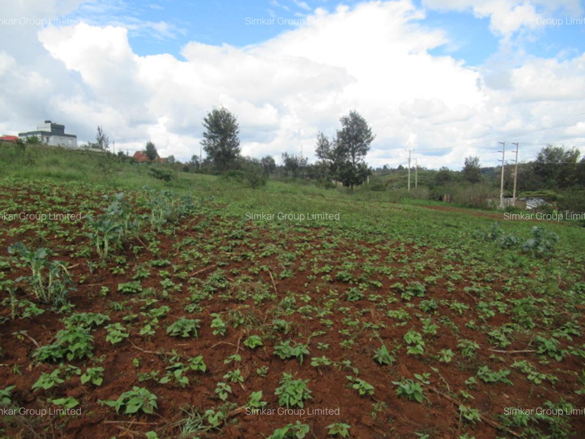 4.5 ac Land at Kibiko - 4