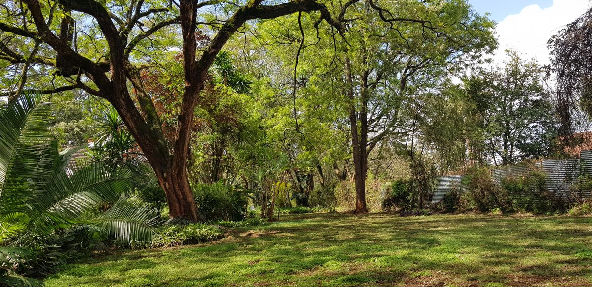 Residential Land at Mokoyot Close - 3