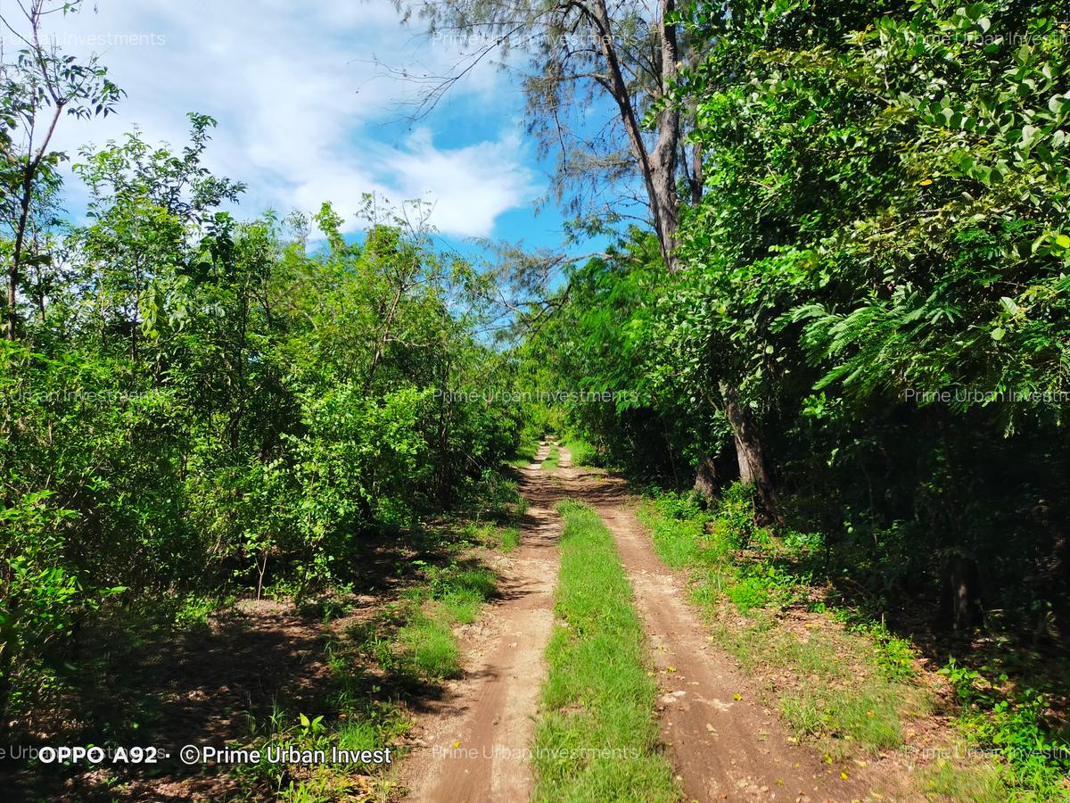 73.6 ac Land at Vipingo Kuruwitu Beach - 17