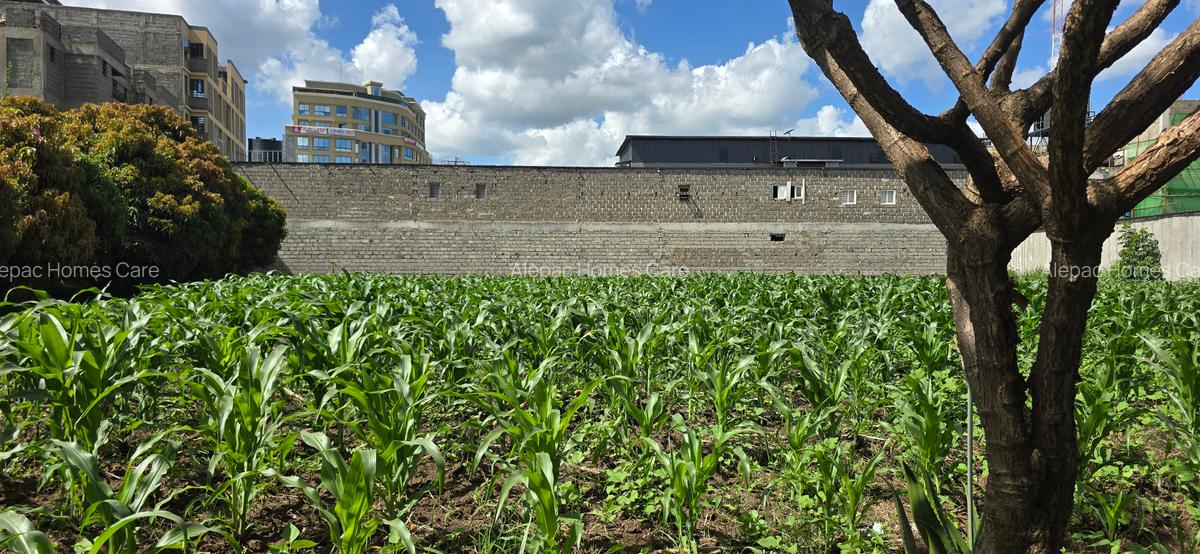 0.5 ac Land at Ruiru - 1