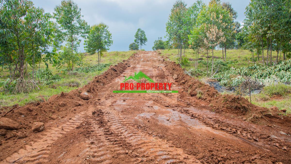 0.05 ha Residential Land in Kikuyu Town - 6