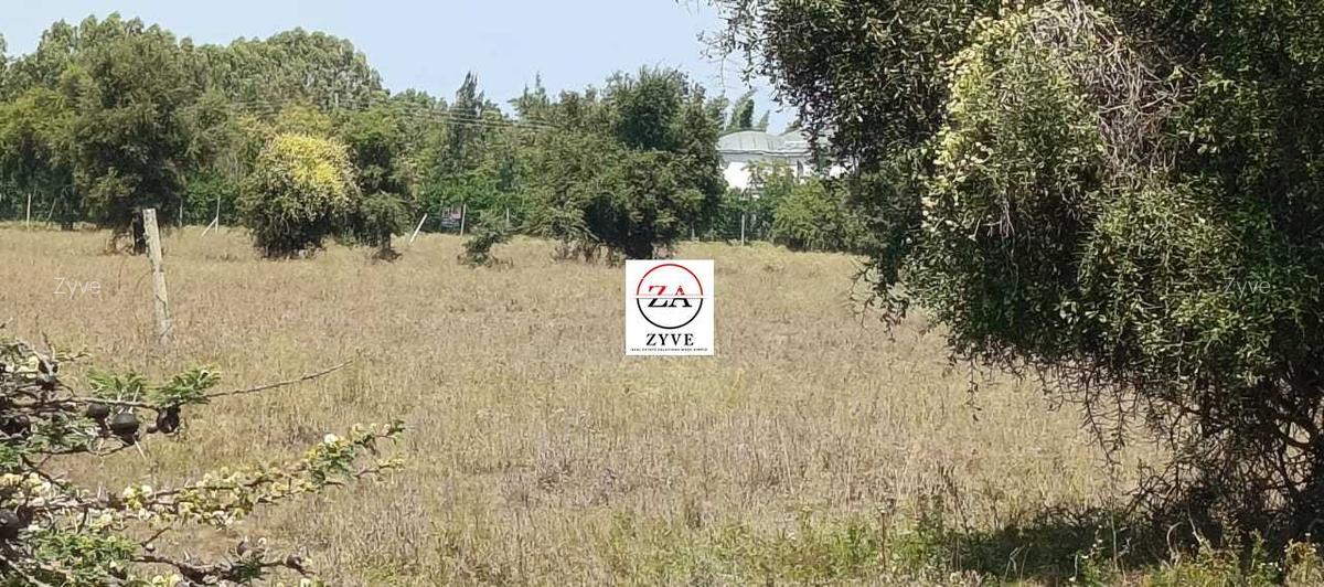 0.25 ac Land at Enkasiti - 8