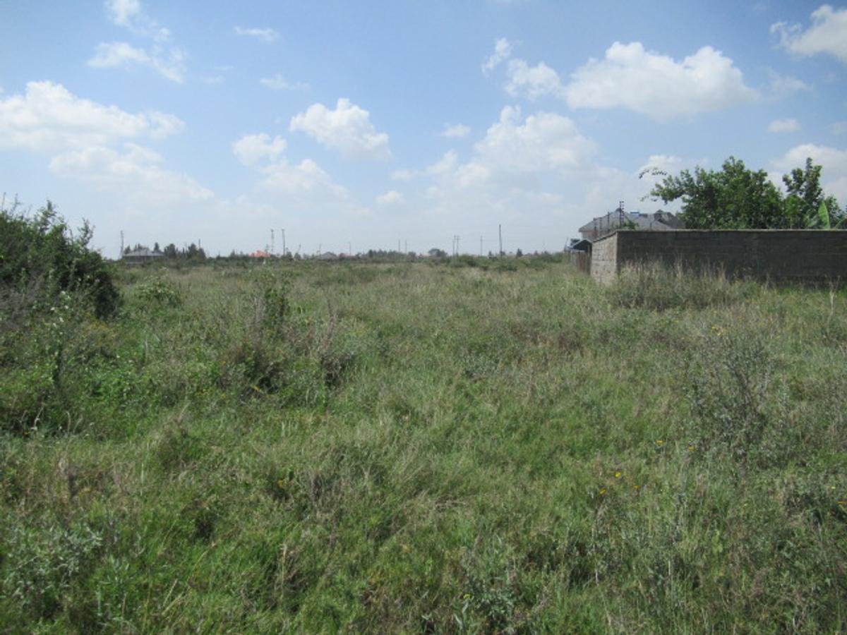 6.1 ac Land at Sabaki - 16