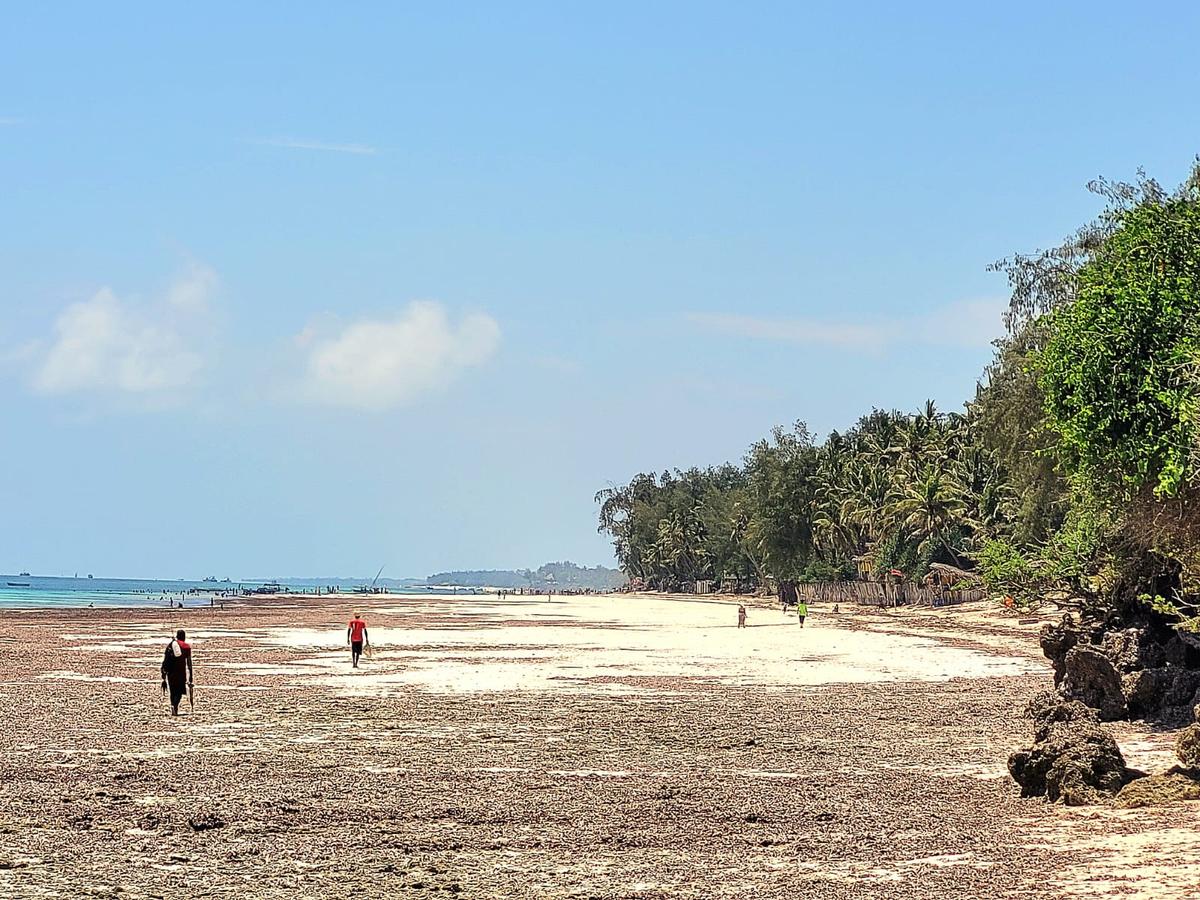 2,000 m² Residential Land in Diani - 3