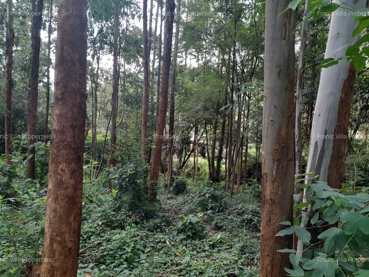0.5 ac Residential Land at Old Kitisuru - 1