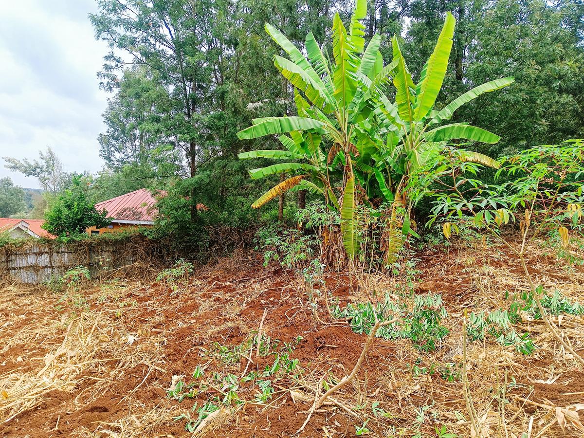 1,000 m² Residential Land at Matasia - 8
