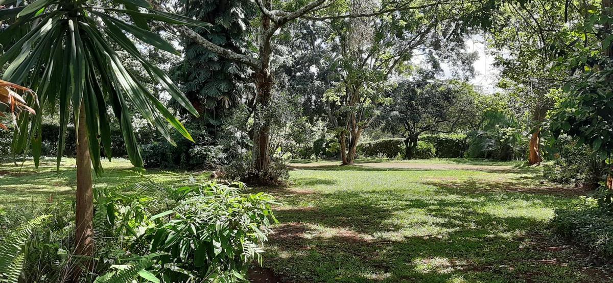 0.5 ac Land at Runda Ridge - 9