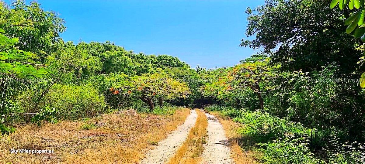 167.5 ac Land at Kuruwitu Beach - 16