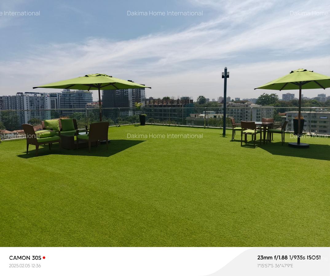 3 Bed Apartment with Staff Quarters in Rhapta Road - 1