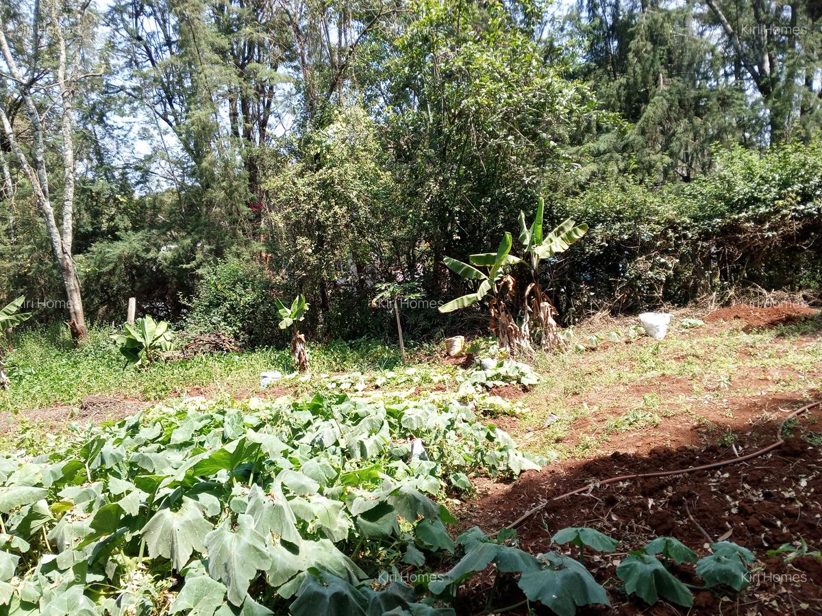 Land in Karen Hardy - 10