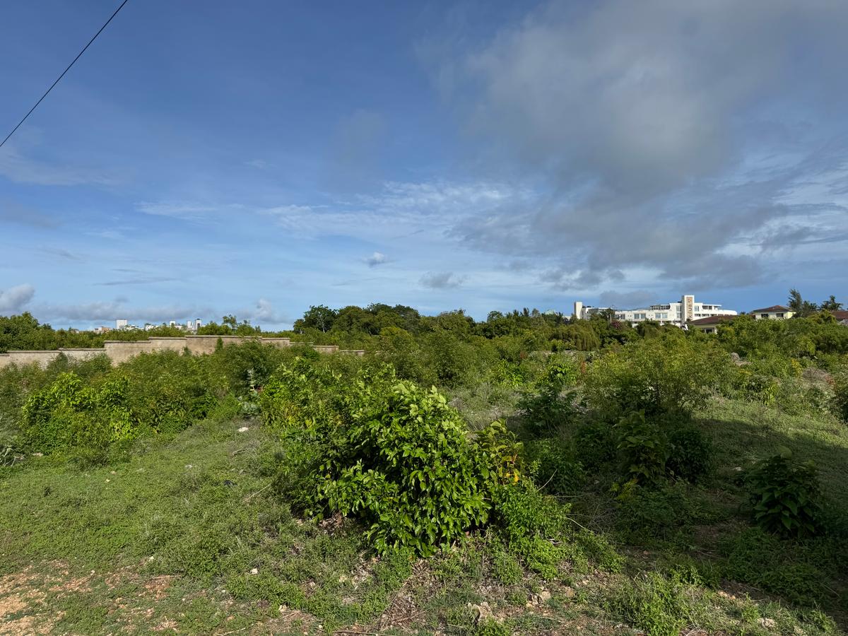 Land in Shanzu - 2