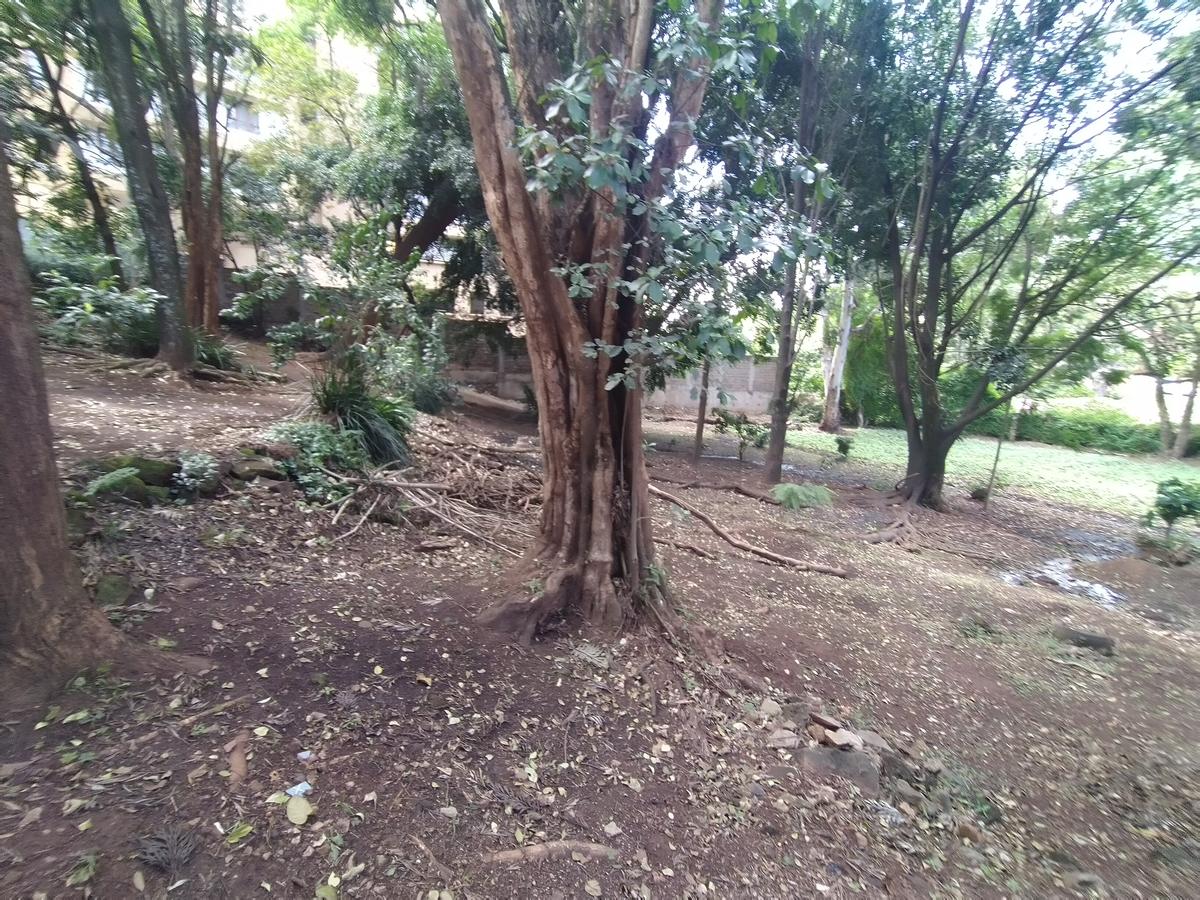 0.78 ac Residential Land in Riara Road - 3