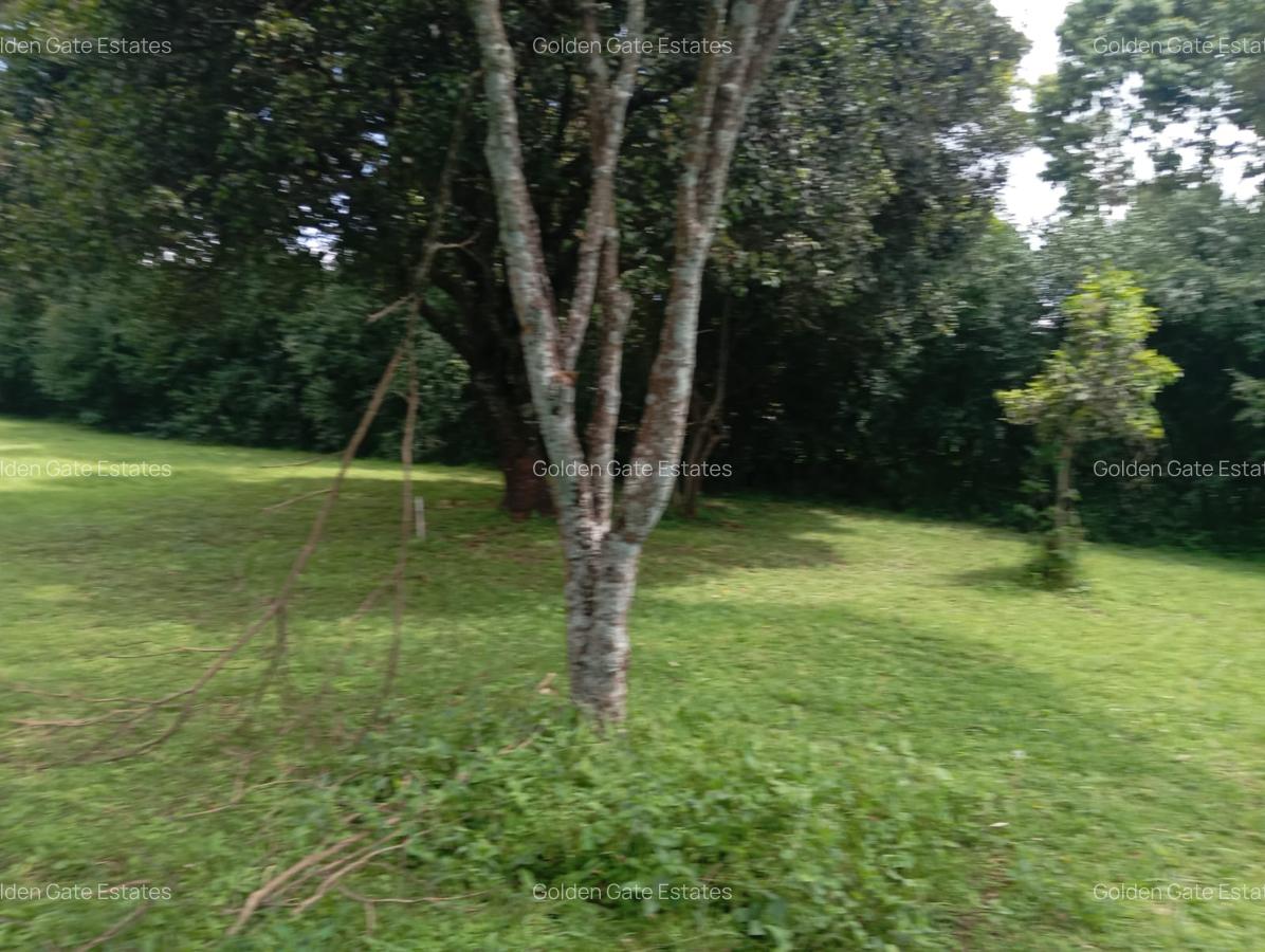 1 ac Residential Land in Karen - 13