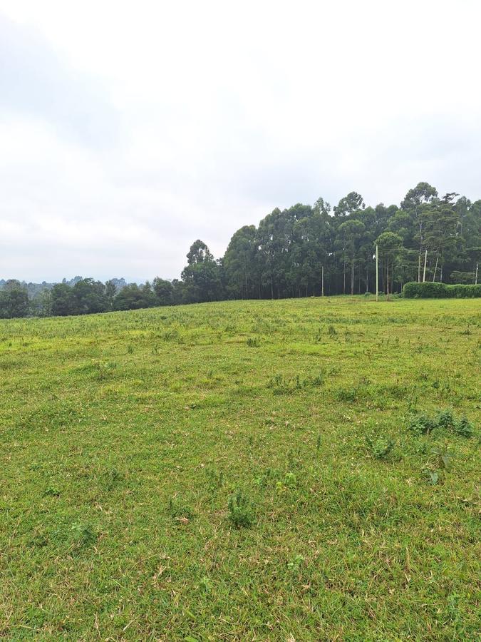 13.8 ac Residential Land at Near Resurrection Garden - 8