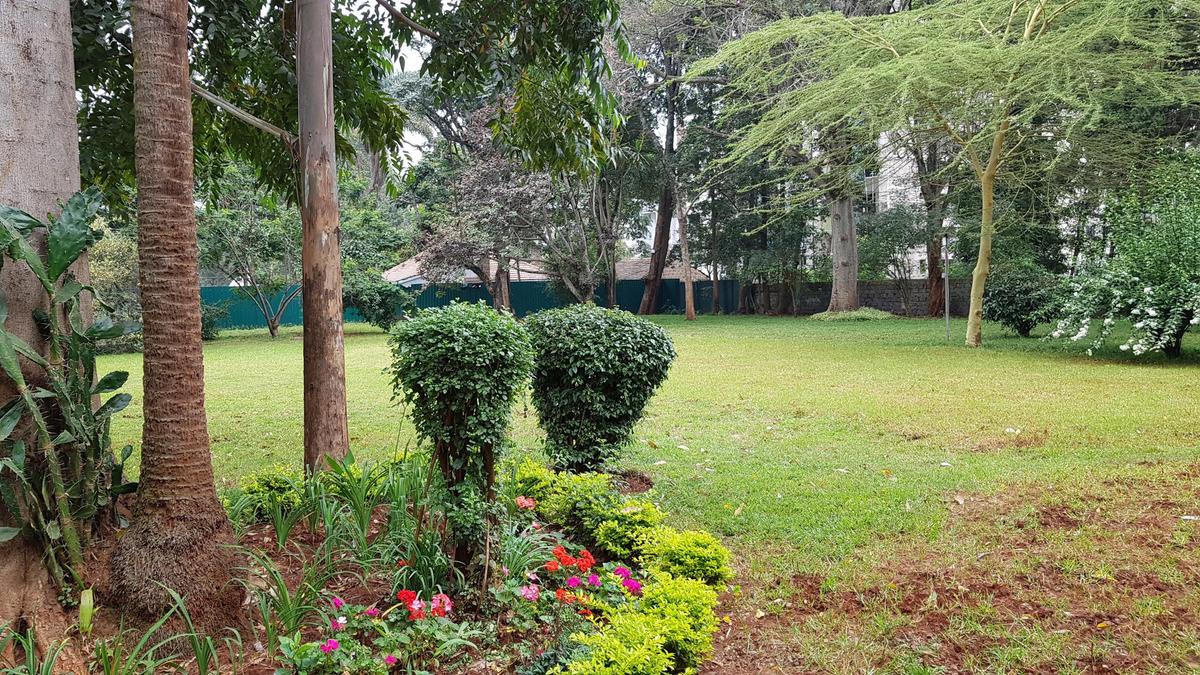 Office in Lavington - 18