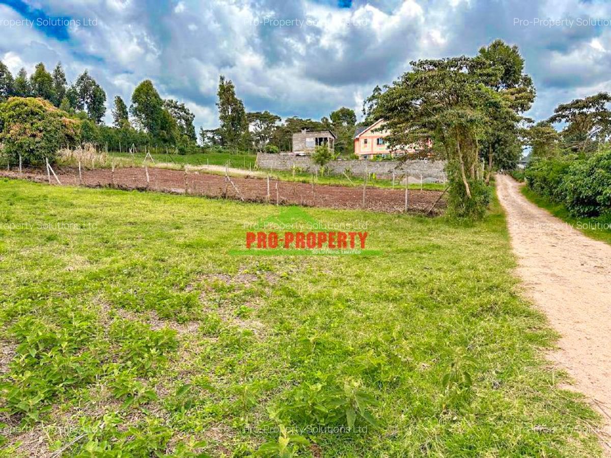 0.2 ha Land at Ondiri - 4