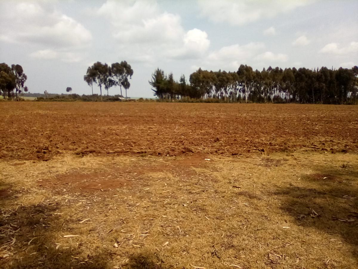 Land at Timau - 7