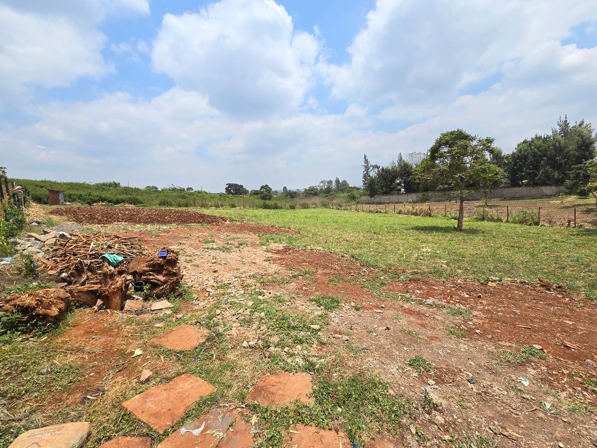 Residential Land at Runda Garden - 6