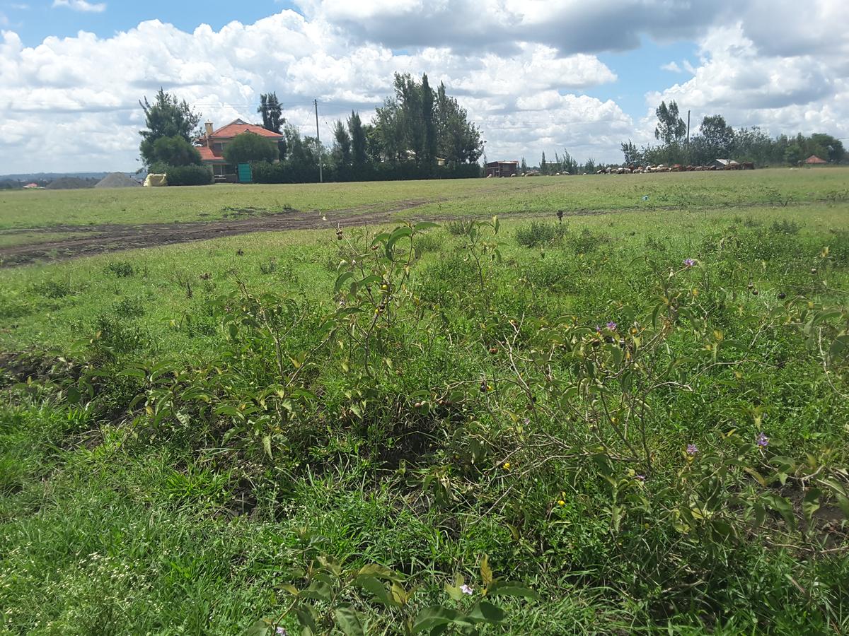 0.1 ha Residential Land in Ongata Rongai - 12