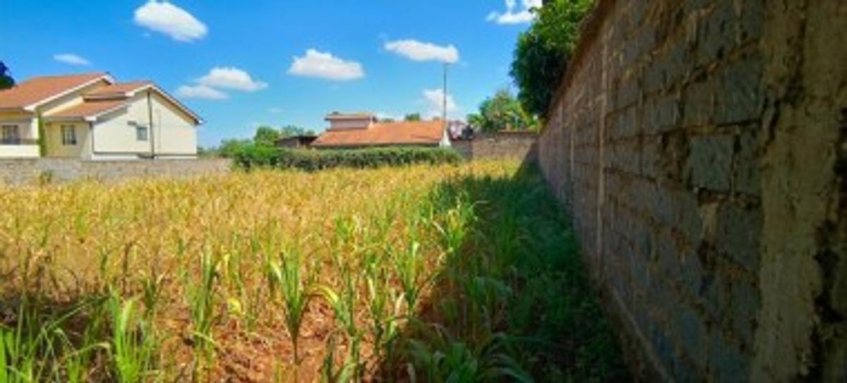 0.5 ac Residential Land at Near Quickmatt Supermarket Kahawa Sukari - 2