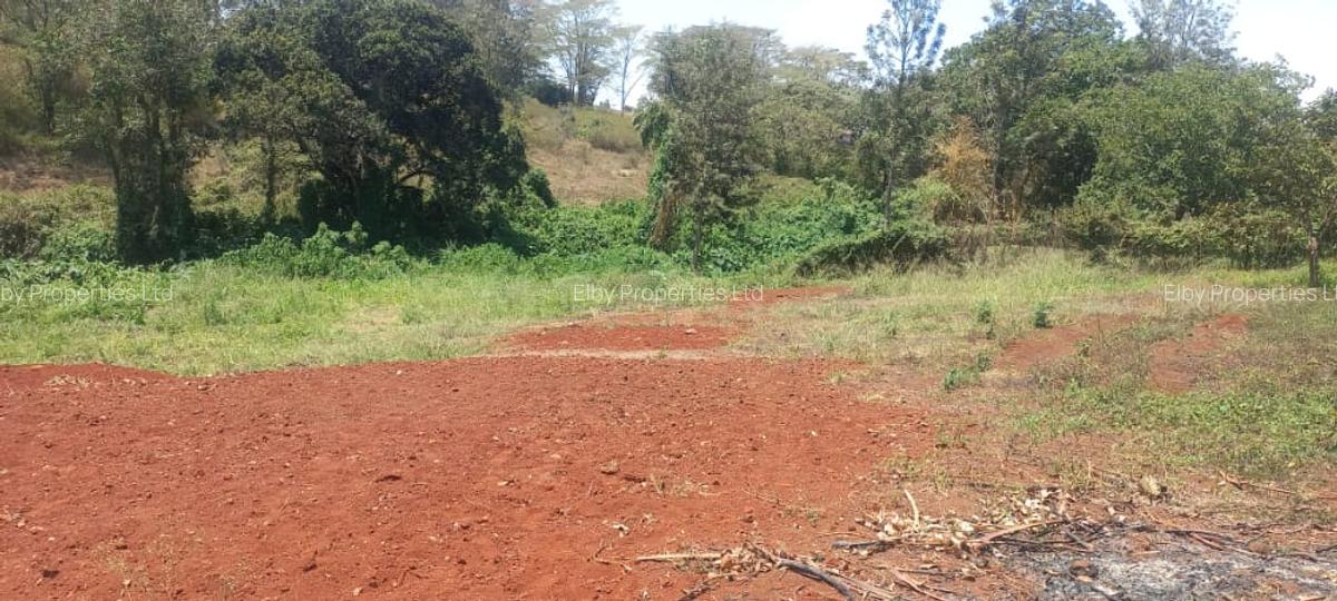 0.5 ac Residential Land at Muthithi - 13