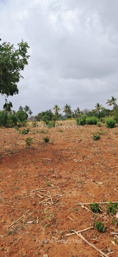 Land in Kilifi - 14