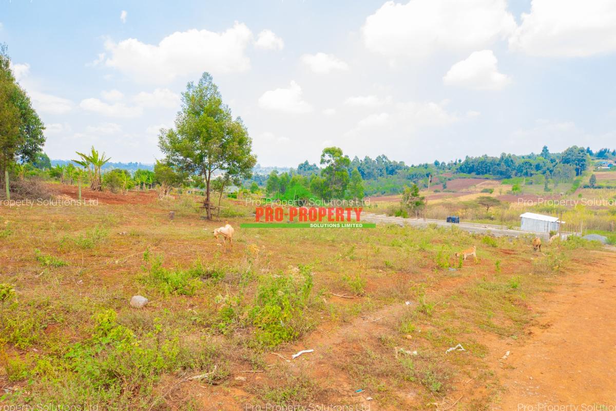 0.05 ha Residential Land at Jambu Tv - 4