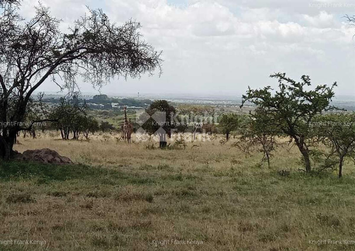 Land at Maanzoni - 3