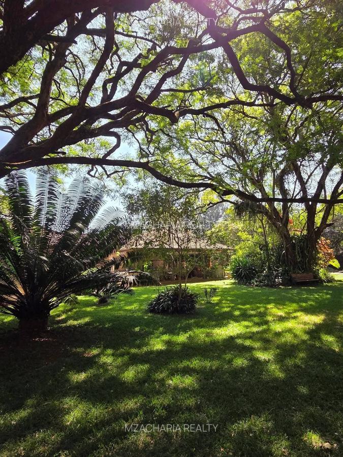 4.45 ac Land at Karen Hardy - 3