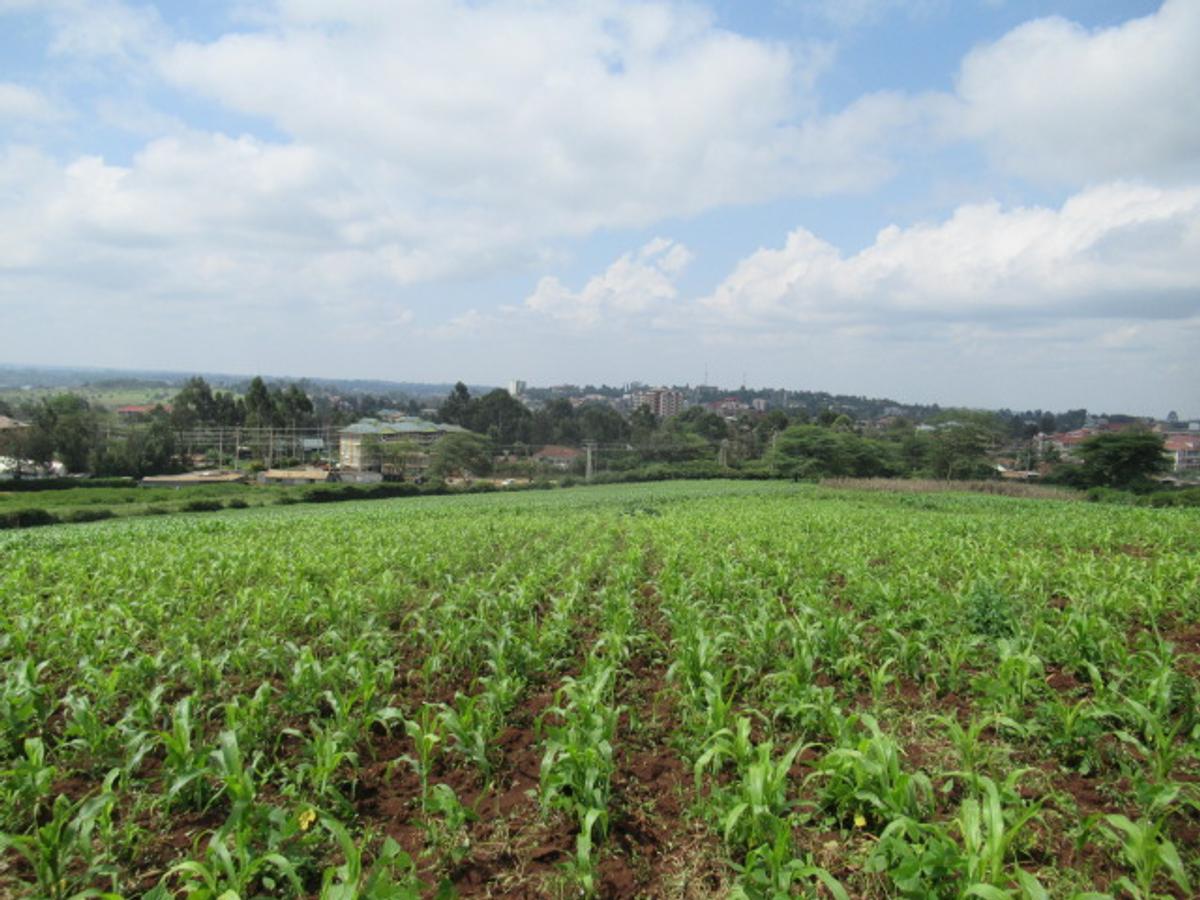 Land at Ngong Town - 12