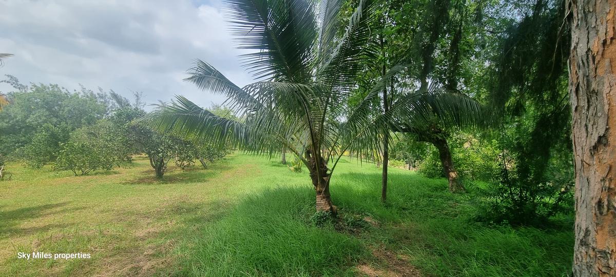 10 ac Land at Mtwapa Creekside - 9