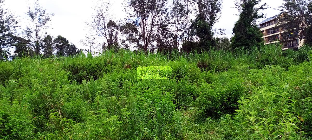 0.64 ac Residential Land in Thindigua - 2